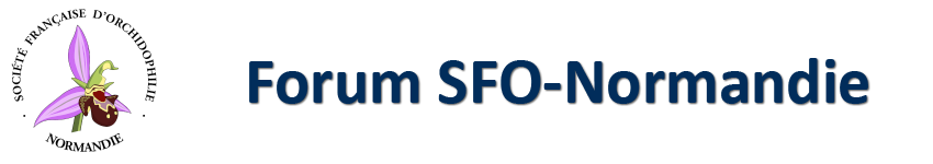 Forum SFO-Normandie